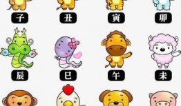 十二生肖 在线观看