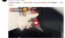 男子爆料自己出轨视频大全,揭秘婚姻背叛瞬间