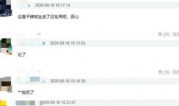 陈赫天涯爆料视频,娱乐圈背后的惊人真相