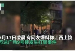 爆料打架事件视频最新,最新爆料打架事件引发社会关注