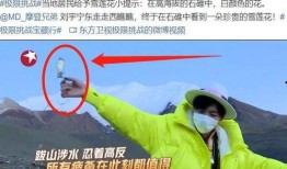 二宁最新爆料事件新闻,揭秘娱乐圈惊人内幕