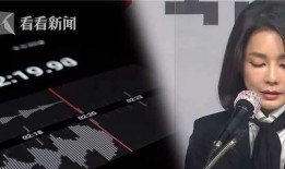 尹锡悦老婆爆料视频,揭秘韩国总统夫妇的私生活