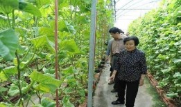 吃瓜娱乐酱顶流社,揭秘顶流社背后的明星圈层