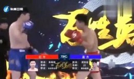新奇娱乐有爆料,明星幕后故事大揭秘！