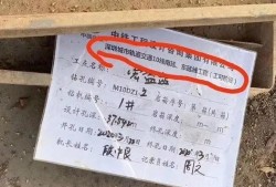 凤岗新闻爆料,最新爆料揭示当地热点事件