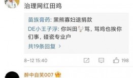 最新爆料田静评论视频,揭秘背后真相与观点交锋