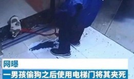 辽宁沈阳男孩爆料视频,揭秘校园生活背后真相