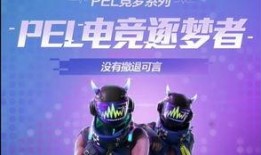 解说爆料新皮肤视频下载,解说爆料视频独家下载