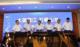 盈江新闻爆料视频,揭秘事件背后真相