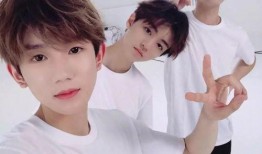 爆料tfboys之间视频电话吗,揭秘兄弟情深瞬间