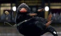 八月神奇动物爆料新闻,神秘生物齐聚，奇幻世界即将开启