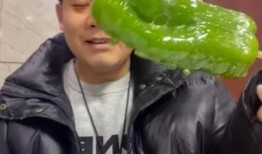 2020吃瓜视频网红,网络红人的崛起与影响