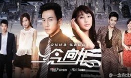 在线观看一念向北,情感纠葛中的命运抉择