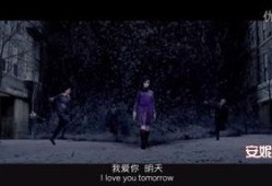 蒲肉团电影在线观看,在线观看，感受美食与情感的交织之旅