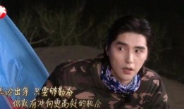 吃瓜娱乐酱顶流社,揭秘顶流社背后的明星圈层