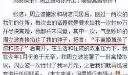 周立波张洁爆料了吗视频,娱乐圈背后真相曝光