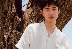 刘昊然经纪人爆料视频,揭秘明星幕后生活点滴