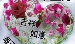 早安最新爆料视频大全,最新视频大全揭秘热点事件