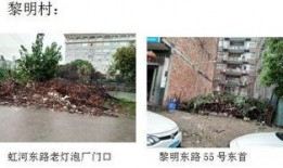 乐清市虹桥镇新闻爆料,详情即将揭晓