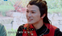 娱乐吃瓜君王鸥是谁呀,王鸥的星光之路