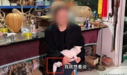 洛阳爆料博主事件视频,真相与争议交织的舆论漩涡