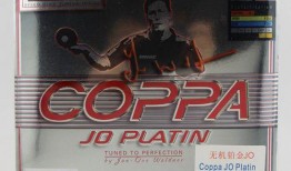 多尼克最新爆料,揭秘网球界惊人内幕！”