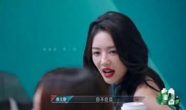 娱乐吃瓜酱三分野,三分野的趣味解读