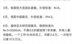 最新职场爆料,最新爆料揭示行业秘密与职场真相