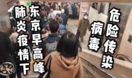 陈哥武汉爆料视频播放,揭秘疫情背后惊人真相