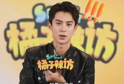 王鹤棣女朋友爆料视频,甜蜜视频曝光引网友热议