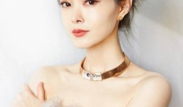 宋轶爆料分手视频