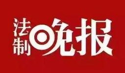 方城新闻爆料,揭秘当地热点事件背后真相