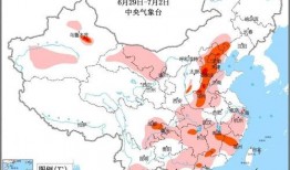 前湾新区爆料事件始末视频,真相揭秘与舆论发酵全记录