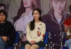 明星被拍视频爆料怎么办,巧妙应对策略全解析