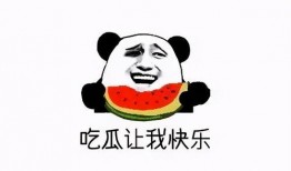 吃瓜群众免费吃瓜公众号,带你领略瓜界风云