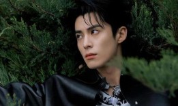 娱乐热点爆料王鹤棣是真的吗,娱乐热点爆料真实性揭秘