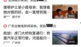 网红头条爆料视频大全集,揭秘网络红人幕后真相