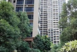 宁波爆料小区视频大全,揭秘社区生活百态