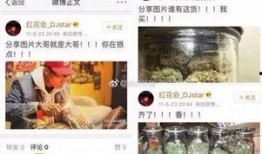 蘑菇视频黑料爆料网,揭秘网络红人背后的真相