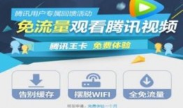 爆料大王王政源视频下载