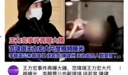 最新爆料范玮琪视频在线观看,在线观看引发热议！