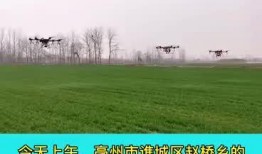 亳州爆料最新消息新闻,突发事件引发关注，详情即将揭晓