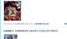 娱乐圈爆料水印怎么做,轻松掌握明星八卦传播秘密