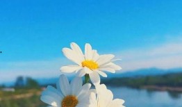 早安最新爆料视频,揭秘视频背后的惊人真相