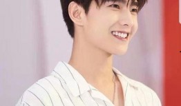 网友爆料杨洋事件视频,网友热议真相与争议