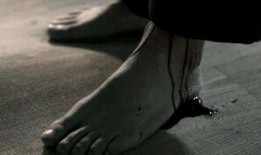 蒲肉团电影在线观看,在线观看，感受美食与情感的交织之旅