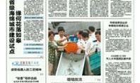 南通爆料拆违公告最新版,全面整治违建，共建和谐城市