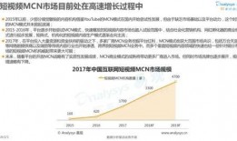 网红头条爆料视频大全集,揭秘网络红人幕后真相