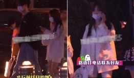 李家印歌舞团爆料视频,幕后真相大曝光