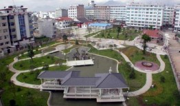 乐清市虹桥镇新闻爆料,详情即将揭晓